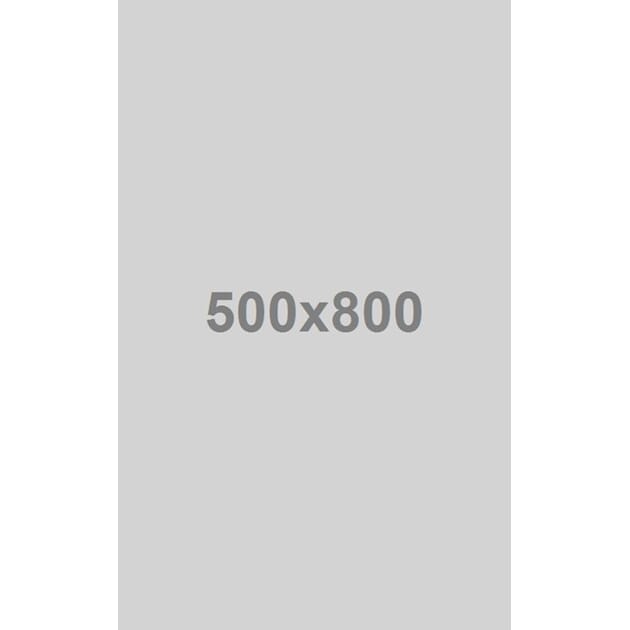 Portrettbilde - 500x800